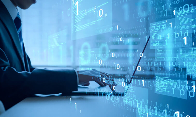 Authorized Distributor for AVer Information Products in the GCC